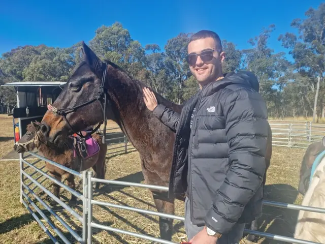 A guest meeting a horse over the fence at a tour stop
