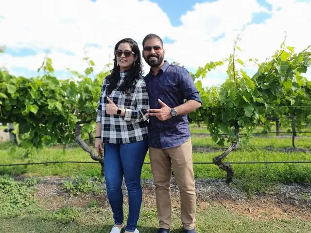 A couple standing in a vine row in full summer leaf