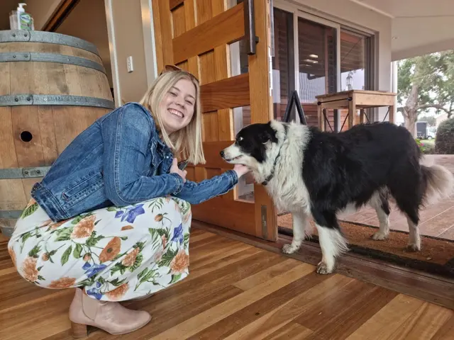 A guest greeting the resident border collie at a cellar door
